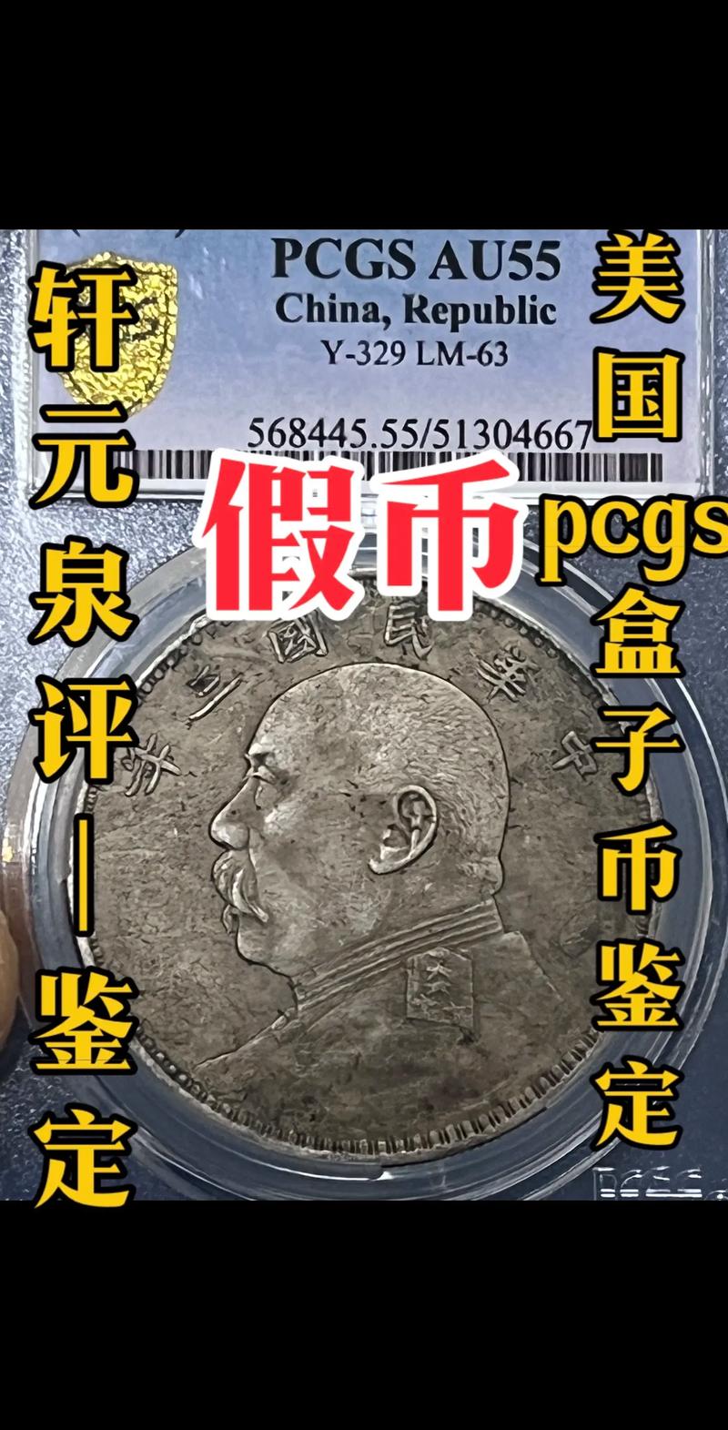 pcgs芯片盒子怎么查