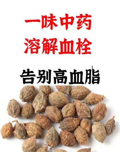 降血脂吃什么最好最降得快游戏截图