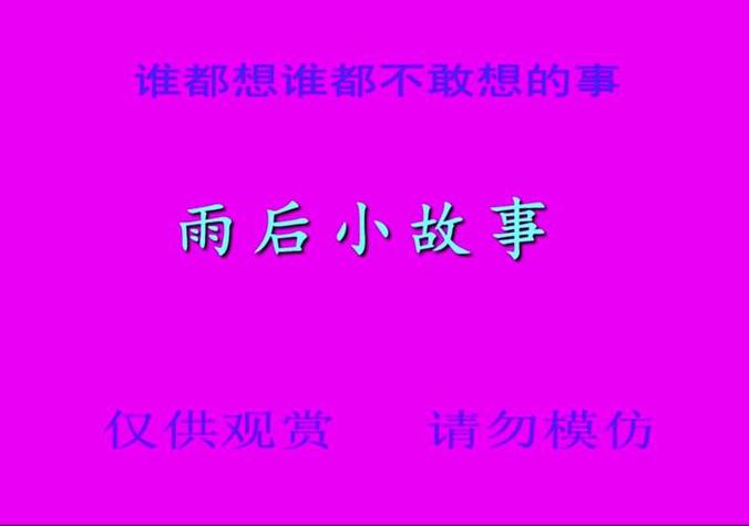 下雨后的小故事 pipa