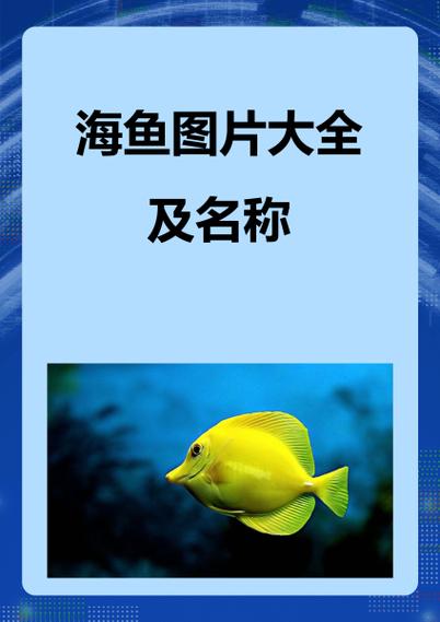 100种海鱼大全
