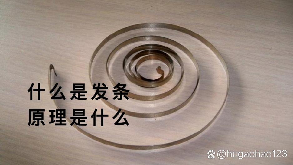 发条是什么意思