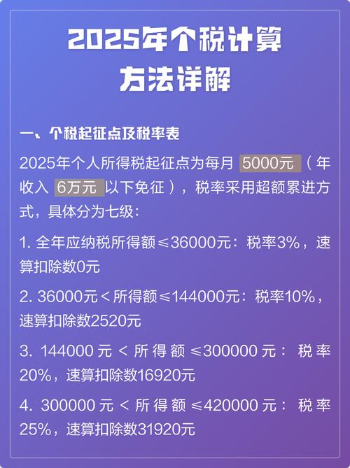 2025年个人所得税正版