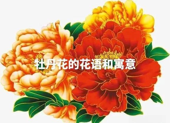 牡丹花的吉祥话