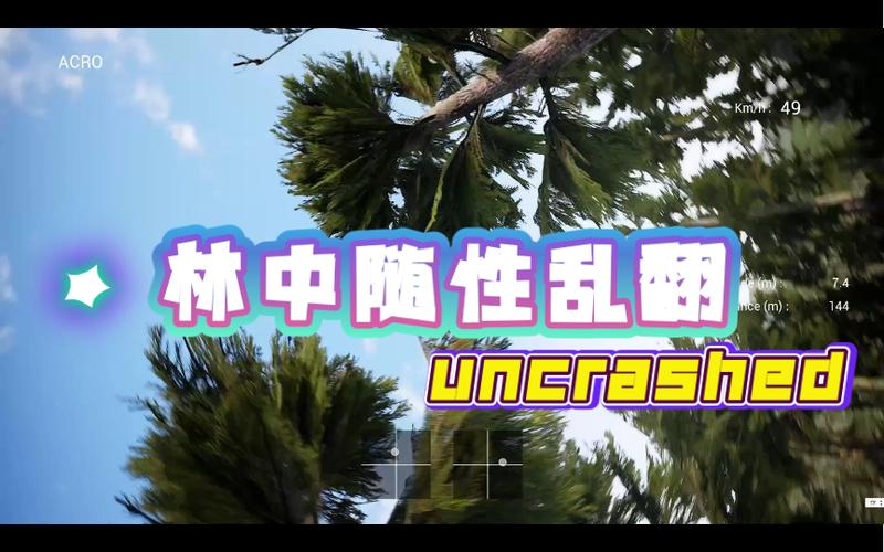 uncrashed手机汉化版