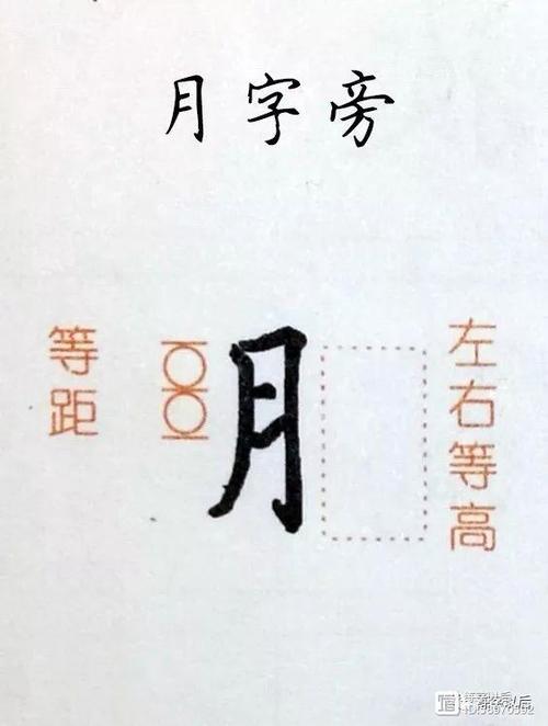 月字加偏旁组成新字