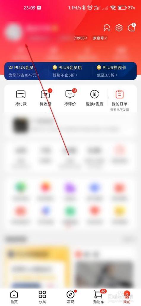 京东消费总额查看方法图标