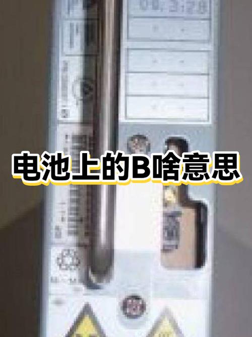 b是什么意思