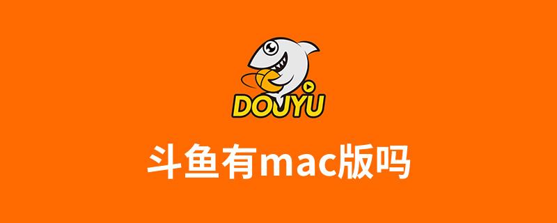 斗鱼电脑客户端没有年度