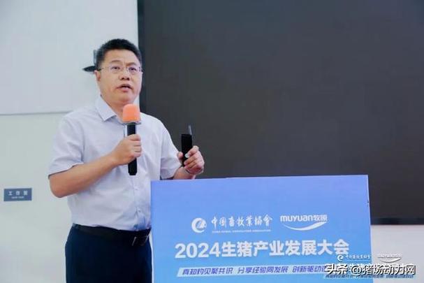 养猪大咖游戏截图