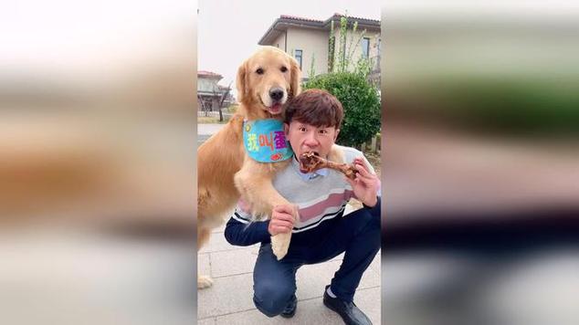小夫妻与宠物犬蛋黄