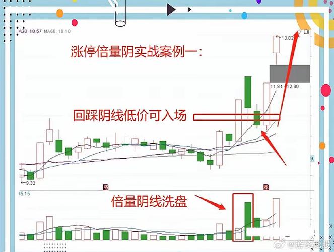 如何能看到每天涨停的个股