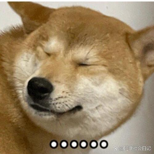 5天cc时装还没到截图