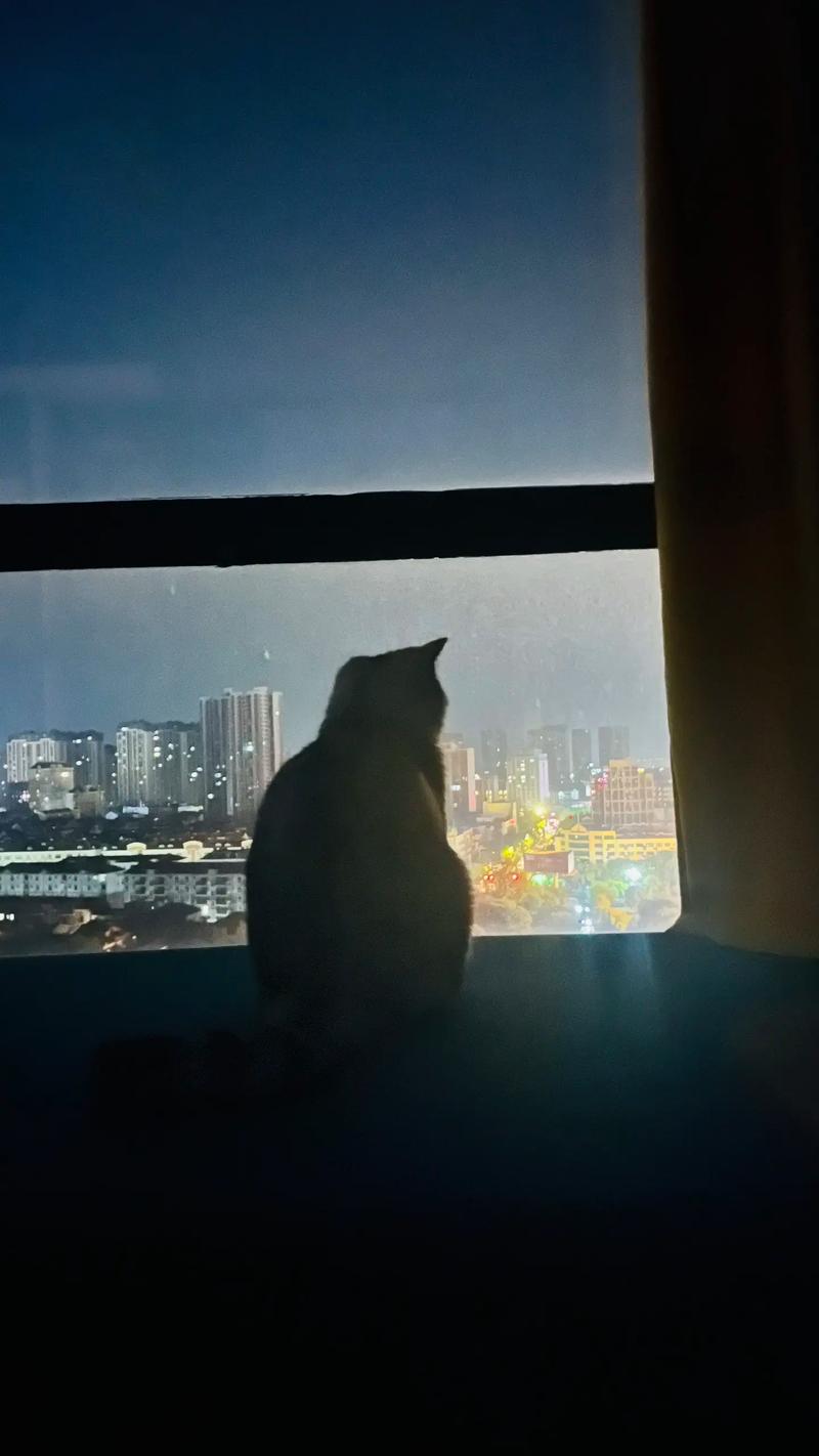 cathay在老外眼中的意义