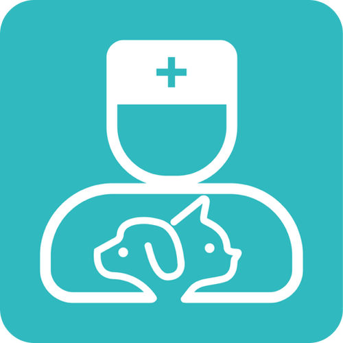 宠医云APP
