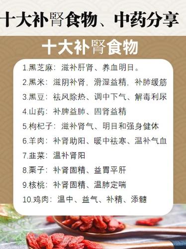 男生吃什么最补肾补精缩略图