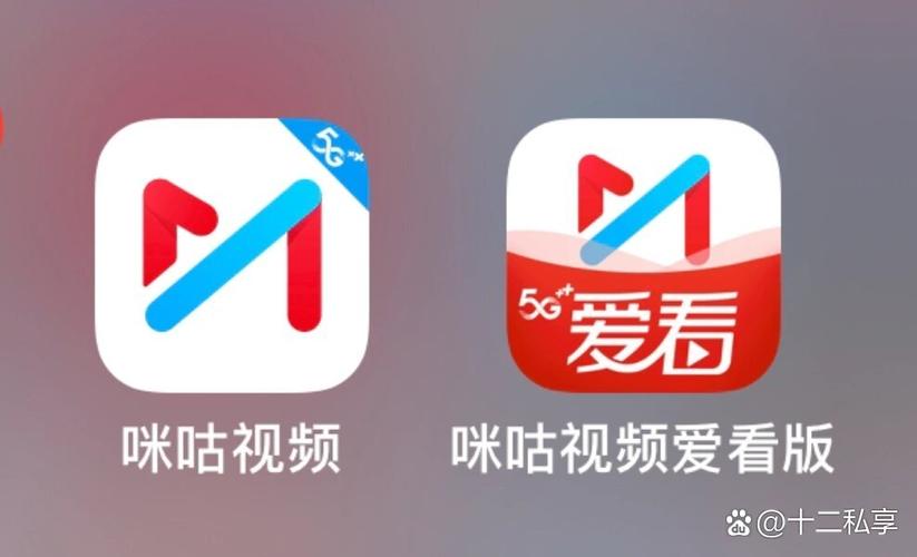 中国移动咪咕视频是什么意思