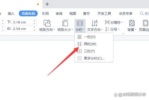 wps如何一页分两栏
