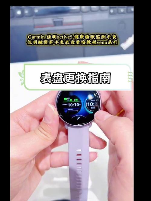 佳明手表在哪里换表盘游戏截图