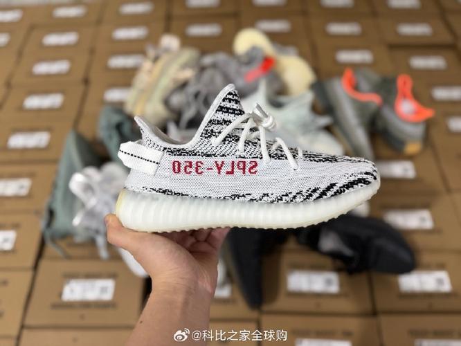 x版椰子什么意思