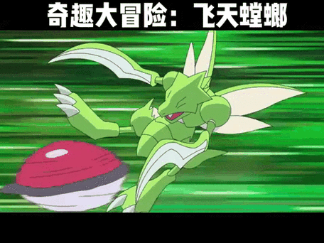 奇趣大冒险什么时候更新