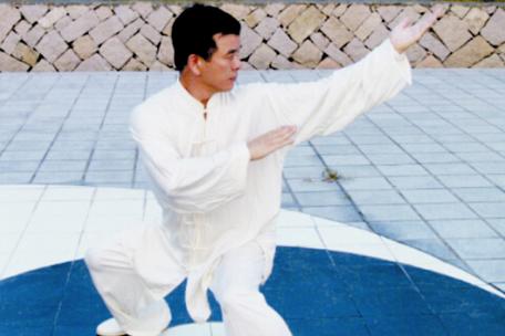 张三丰太极拳13式全套截图