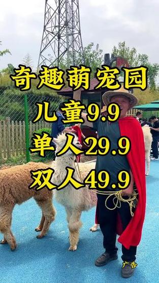 可爱的小萌宠