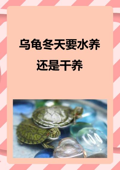 养三只乌龟的大忌图标