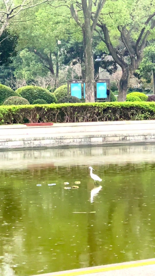 如何关闭相机延时摄影图标