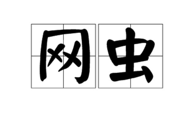 网虫指什么人