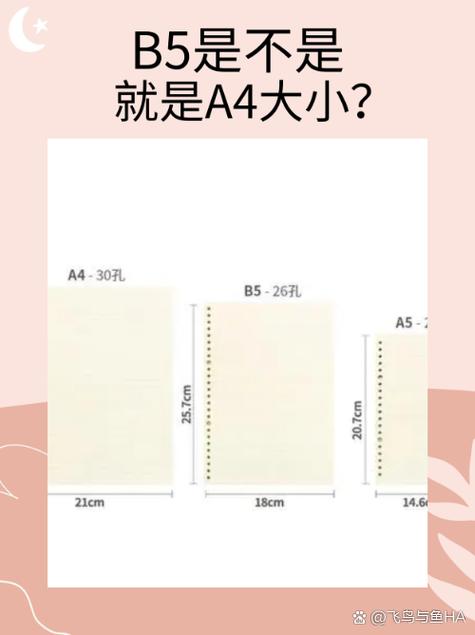 letter纸张尺寸大小