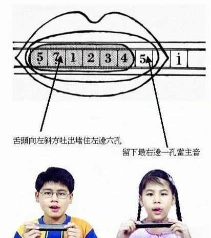 口琴多孔单音怎么练截图