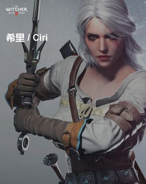 巫师3希里打三女巫截图
