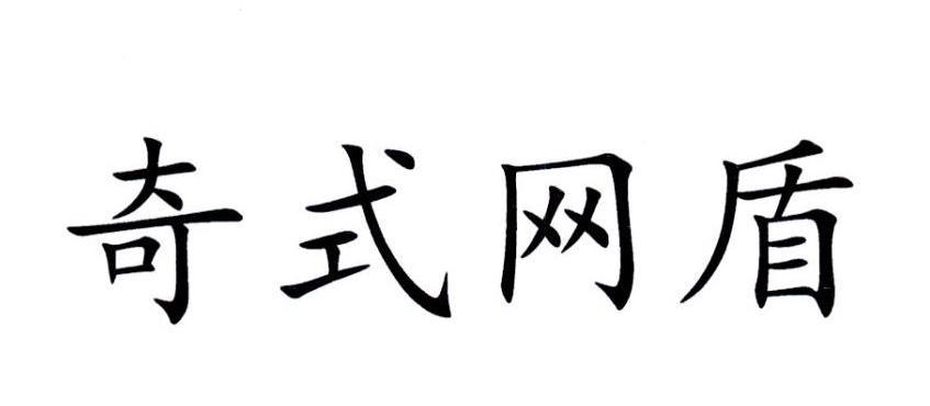 奇式网盾打不开