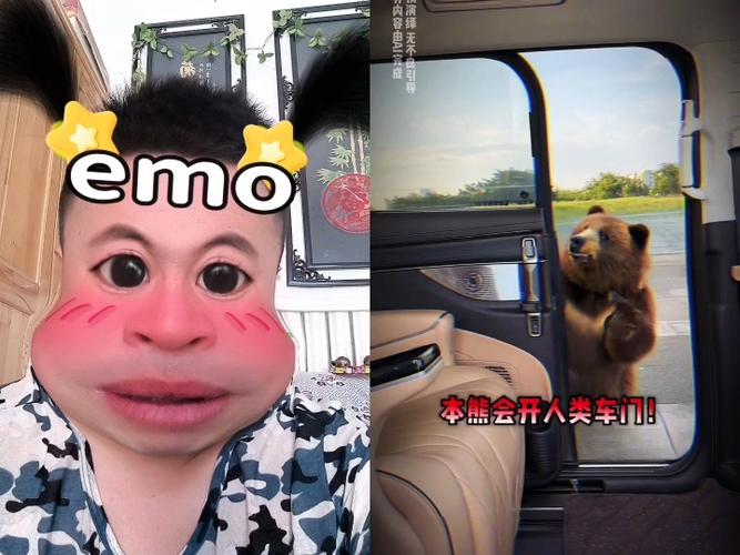 吓哭有点怂《人面熊》吓哭有点怂妈图标
