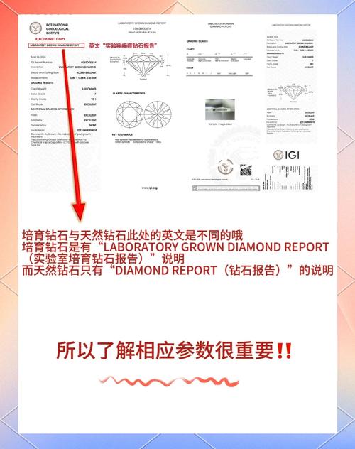 怎么判断自己是不是nbigde