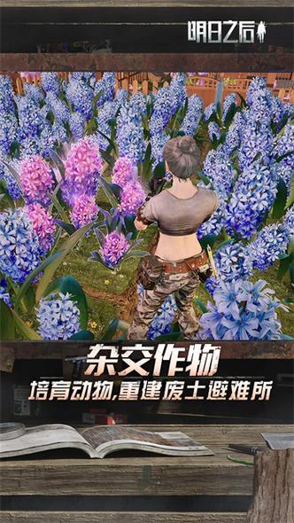 明日之后渠道服大全