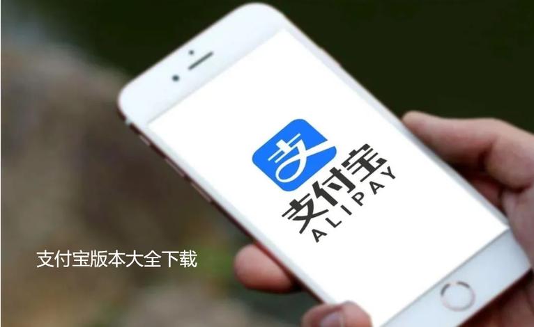 在国外如何用支付宝付款图标