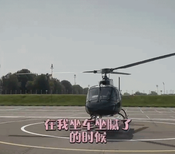 人体直升机表情包gif