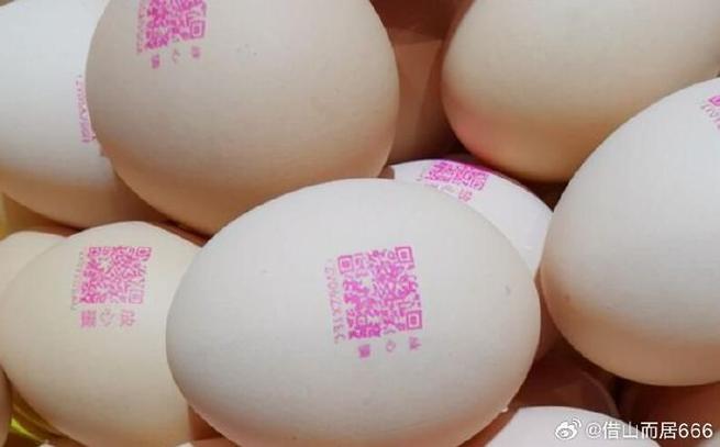 蛋码是什么意思