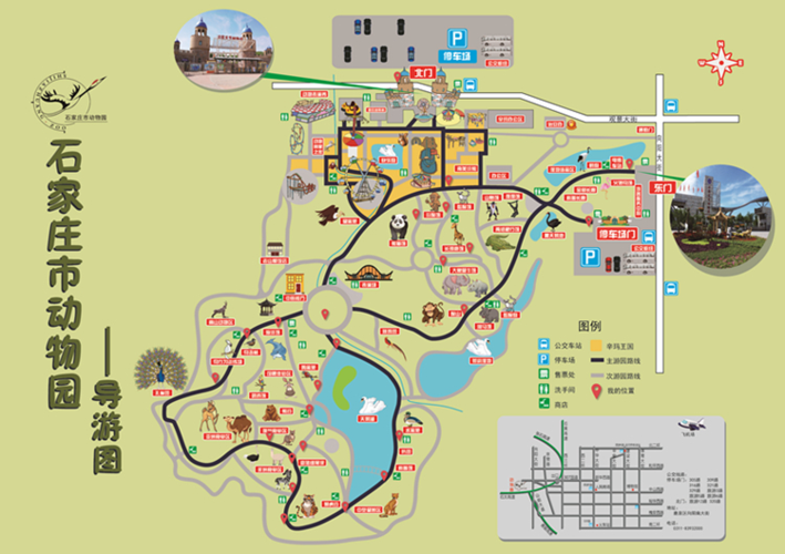石家庄市旧动物园地址缩略图