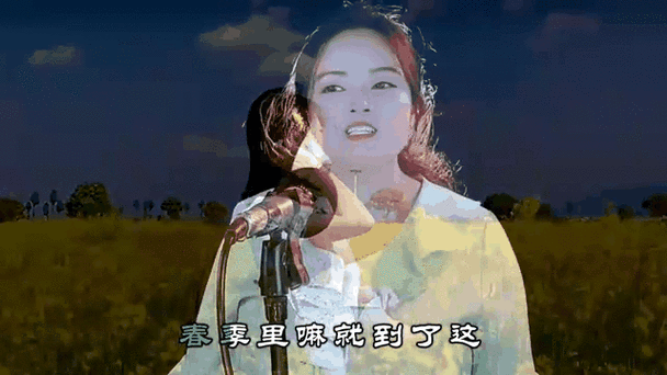 花儿与少年教唱视频