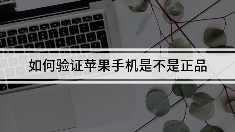 苹果怎么认证是不是正品