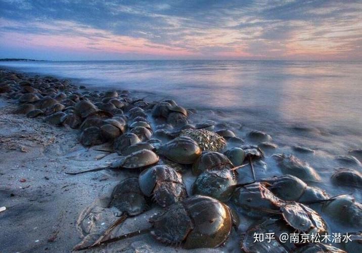 BitRadeX还能存活多久