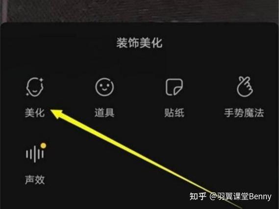 配合抖音用的美颜软件
