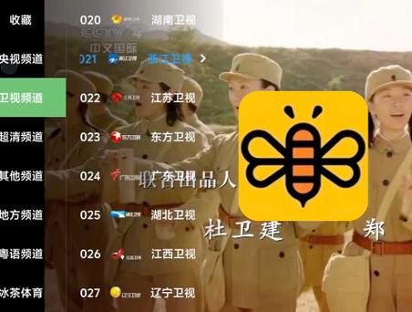 蜜蜂过箱视频直播