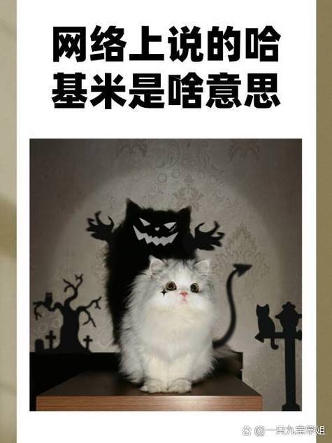 生了个哈基米是暗示什么