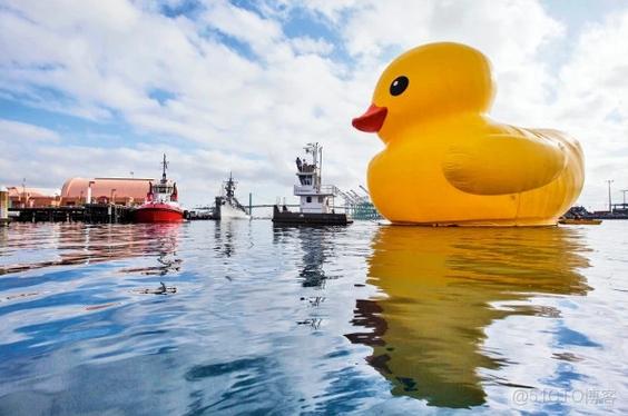 duckduckgo国内能用吗图标