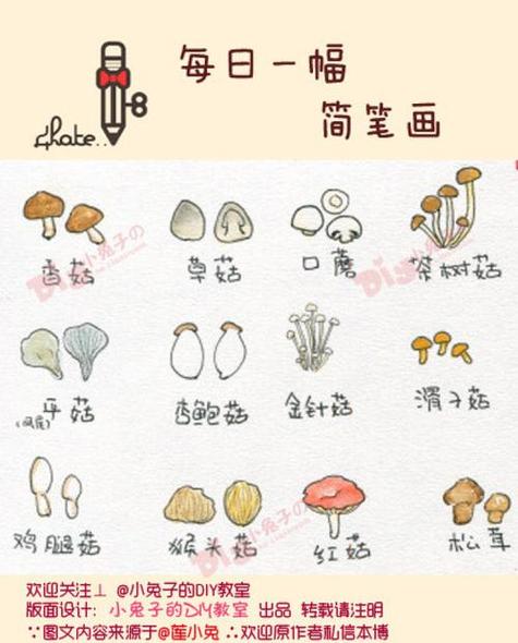 常见菌菇类图片和名字