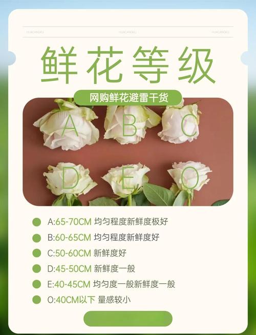 v落花分级