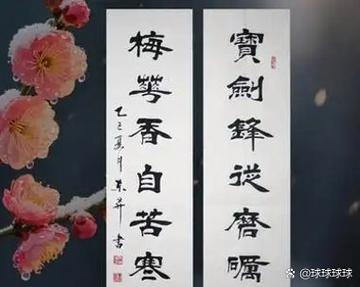关于梅花的朋友圈文案